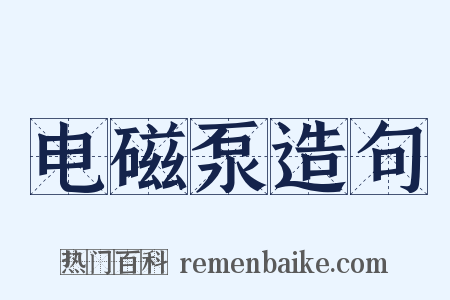电磁泵造句是什么意思的图片